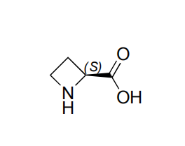(S)-(-)-2-Azetidincarbonsäure