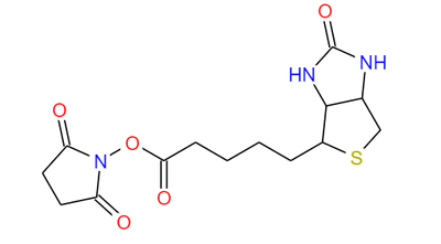 2,5-Dioxopyrrolidin-1-yl 5-{2-oxo-hexahydro-1H-thieno[3,4-d]imidazol-4-yl}pentanoat