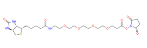 (+)-Biotin-PEG4-NHS-Ester