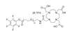 DOTA-Tris(säure)-amido-PEG12-TFP-Ester